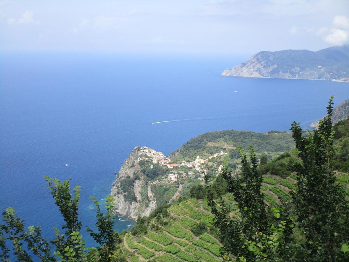Marina Apt. sul mare, free parking, ariacondiz. Vernazza Exterior foto